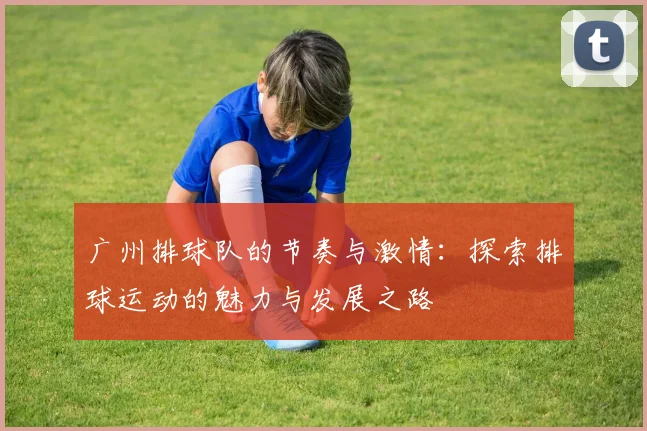 广州排球队的节奏与激情：探索排球运动的魅力与发展之路