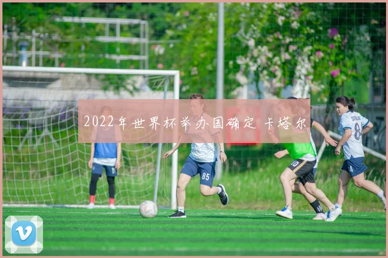 2022年世界杯举办国确定 卡塔尔