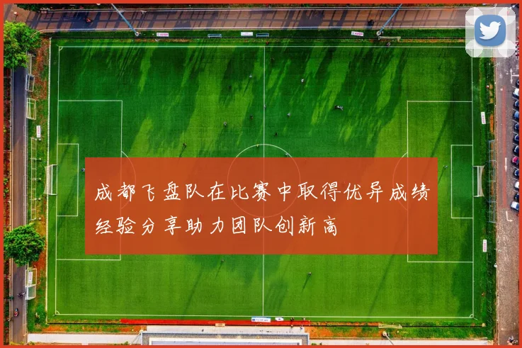 成都飞盘队在比赛中取得优异成绩经验分享助力团队创新高