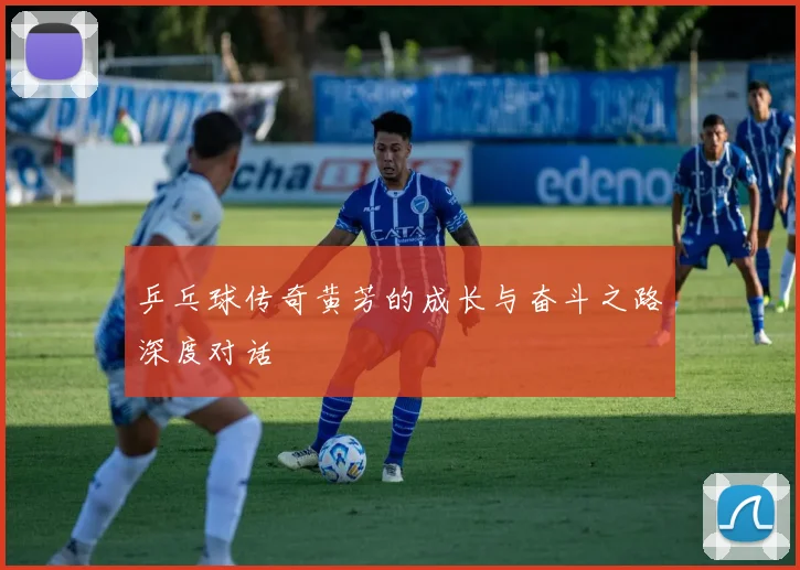 乒乓球传奇黄芳的成长与奋斗之路深度对话